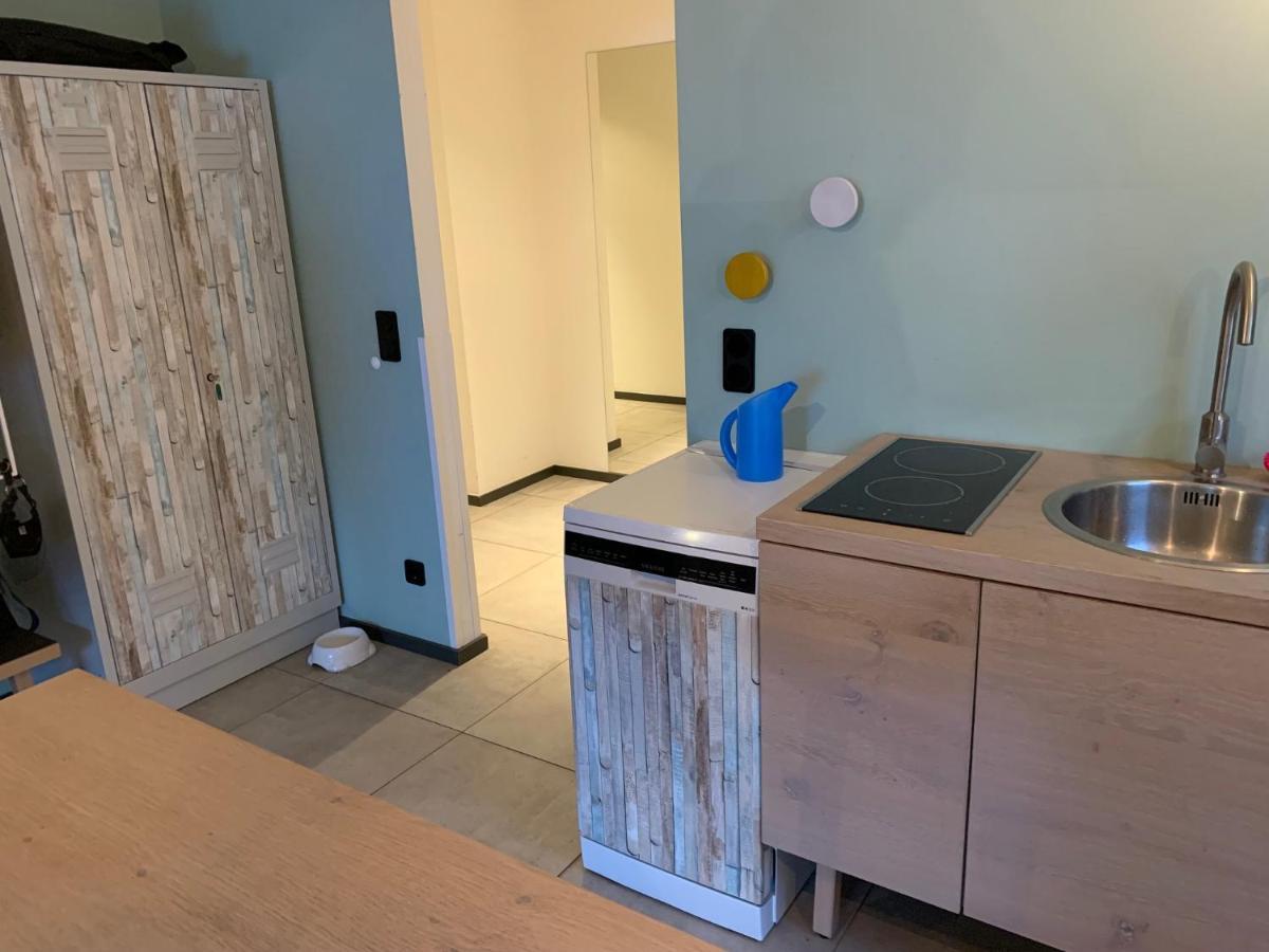 Ferienwohnung Am See Mit Terrasse 아세베르크 외부 사진
